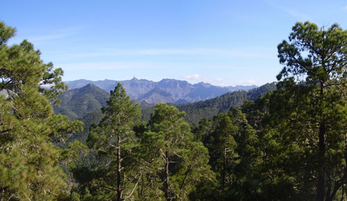 Parque Natural de Tamadaba