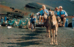 Viaje en camello en las Islas Canarias
