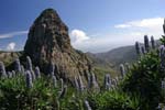 Parques Naturales en La Gomera
