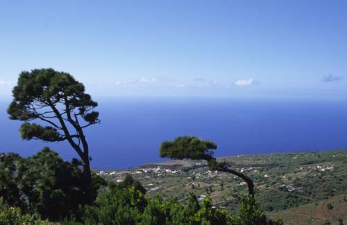 Paisaje en Puntagorda La Palma