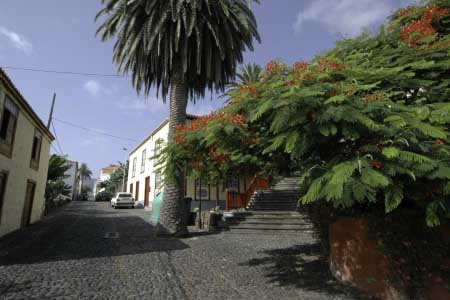 San Andrés y Sauces, La Palma