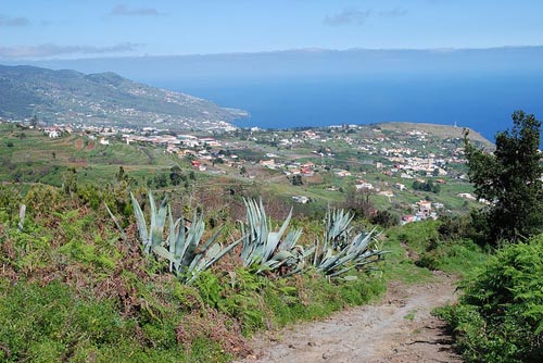 Villa de Mazo, La Palma