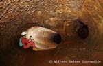 El Viento Sobrado Cave (Cueva del Viento Sobrado)