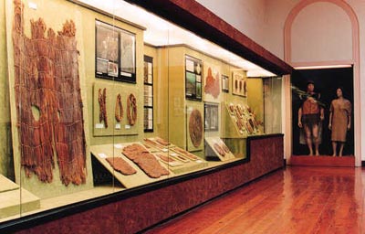 Canary Museum