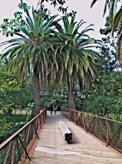 Gardens of Hamilton Park, Tacoronte, Tenerife